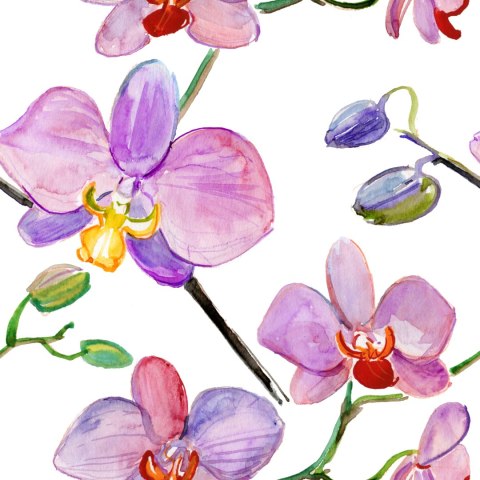 Tapeta Do Salonu Orchidee Storczyki Kwiaty Rośliny