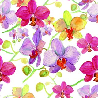 Tapeta Do Salonu Storczyki Kwiaty Przyroda Natura