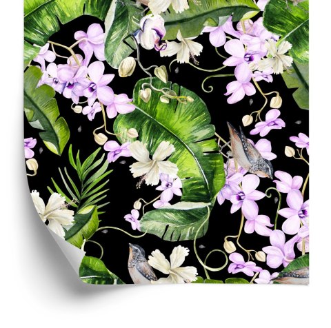 Tapeta Do Salonu Storczyki Natura Kwiaty Rośliny