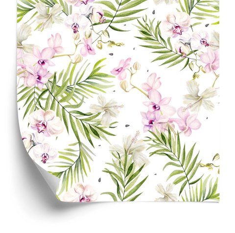 Tapeta Do Salonu Storczyki Orchidea Kwiaty Natura