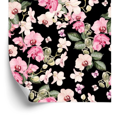 Tapeta Do Sypialni Natura Kwiaty Orchidea Storczyk
