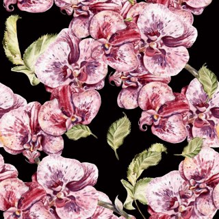 Tapeta Do Sypialni Orchidea Storczyk Natura Kwiaty