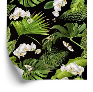 Tapeta Kwiaty Storczyki Natura Do Sypialni