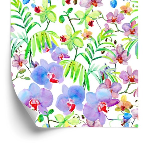 Tapeta Orchidea Storczyki Rośliny Kwiaty Do Salonu
