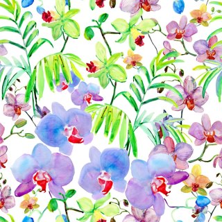 Tapeta Orchidea Storczyki Rośliny Kwiaty Do Salonu
