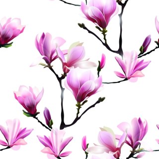 Tapeta Różowe Kwiaty Magnolii