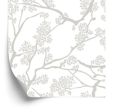 Tapeta Drzewa, Gałęzie, Natura, Salon, Sypialnia