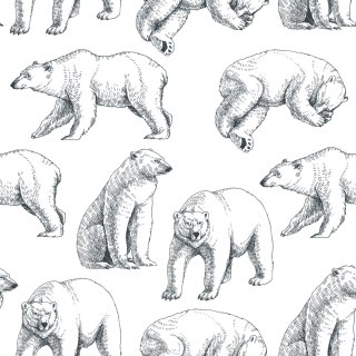 Tapeta Niedźwiedzie Polarne