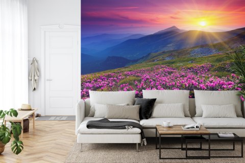 Fototapeta Kwiaty