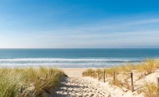 Fototapeta Plaża Morze Wydmy