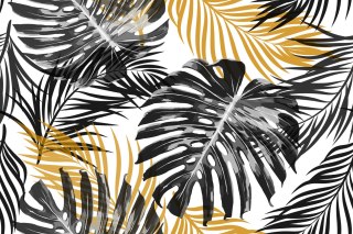 Fototapeta Liście Monstera