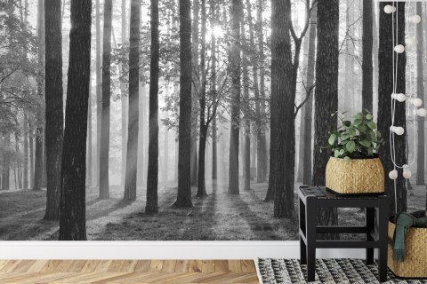 Fototapeta Wschód Słońca W Czerni I Bieli