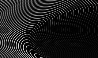 Fototapeta Of The Gray Pattern Of Lines . Eps10.