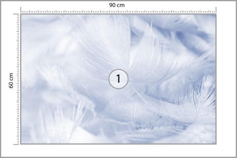 Fototapeta Pióra W Kolorze Niebieskim