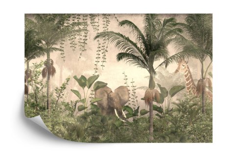 Fototapeta Tropical Trees And Leaves For Digital Printing Wallpaper, Custom Design Wallpaper - 3D