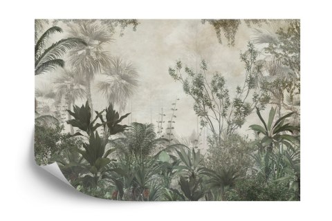 Fototapeta Tropical Trees And Leaves Wallpaper Design In Foggy Forest - 3D