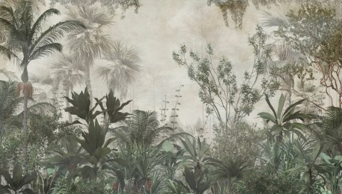 Fototapeta Tropical Trees And Leaves Wallpaper Design In Foggy Forest - 3D