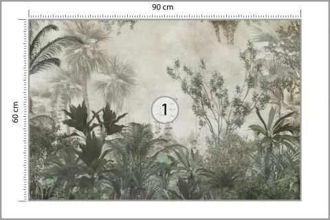 Fototapeta Tropical Trees And Leaves Wallpaper Design In Foggy Forest - 3D