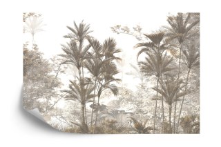 Fototapeta Tropical Trees And Leaves Wallpaper Design In Foggy Forest - 3D