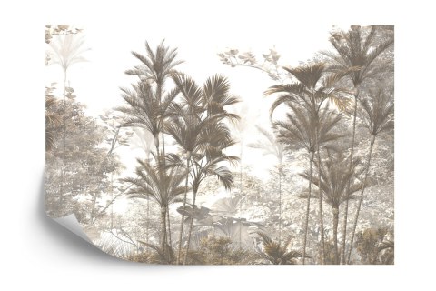 Fototapeta Tropical Trees And Leaves Wallpaper Design In Foggy Forest - 3D