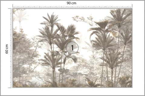 Fototapeta Tropical Trees And Leaves Wallpaper Design In Foggy Forest - 3D