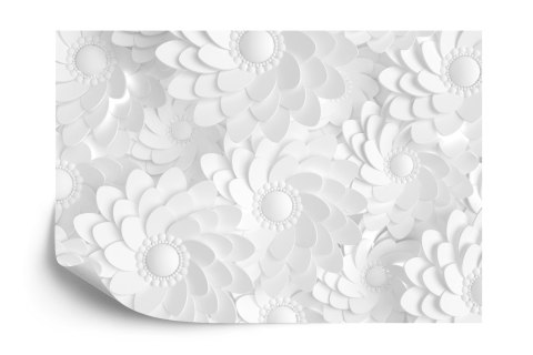 Fototapeta Beautiful, Elegant Paper Flower In The Style Of Hand-Made On A White Wall. 3D , 3D Rendering.