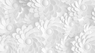 Fototapeta Beautiful, Elegant Paper Flower In The Style Of Hand-Made On A White Wall. 3D , 3D Rendering.