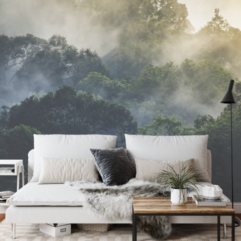 Fototapeta Landscape Of Asia Tropical Rainforest, Canopy Tree Of Jungle Green Forest Park Outdoor, Nature Environment Mountain V