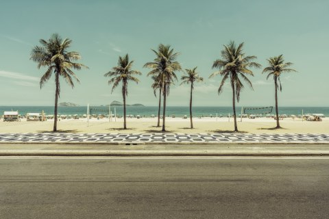Obraz Wieloczęściowy Palmy Na Plaży Ipanema W Rio De Janeiro