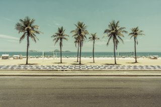 Obraz Wieloczęściowy Palmy Na Plaży Ipanema W Rio De Janeiro