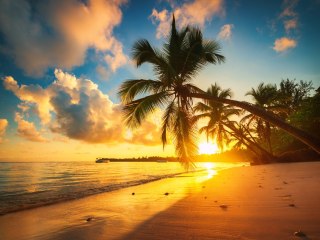 Obraz Wieloczęściowy Tropikalna Plaża W Punta Cana, Dominikana
